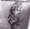 va_ratbath