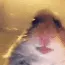 tf