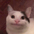BelugaSpazm Discord emoji
