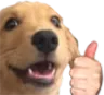 okei