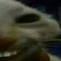 xdd2