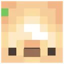 HeadJames