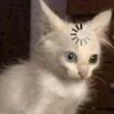PG_CatBuffering