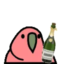 champagneparrot