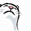catbop