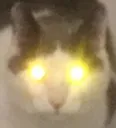 oooooooooooooooooooooooooooooooo oooooooooooooooooooooooooooooooo
