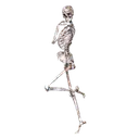 sassy_skeleton