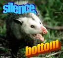 silencebottom