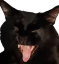 LightScrem
