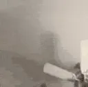 catPunch catPunch