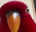 redbird2