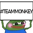 teammonkey