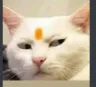 ace_tirchi_nazar
