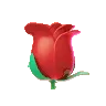rosespin rosespin