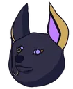 drewdoge drewdoge