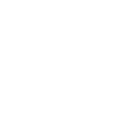 white_butterfly