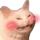 catblush catblush