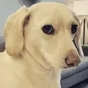 NotTooFondOfGayPeople NotTooFondOfGayPeople