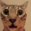 emoji_6