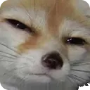 sus