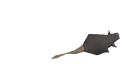 ratSPOTTED