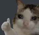 thumbsupsad