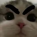zeng