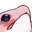 TsuchBlush TsuchBlush