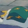 PikaSleep
