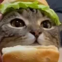 Catburger catburger Discord Emoji