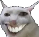 XD