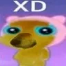 XDV