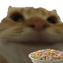 CerealCat