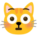 flushedCat