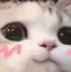qt