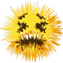 spiky spiky