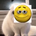 mewhenikillcat mewhenikillcat