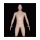 Wait_What_2