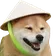 dogcuoi