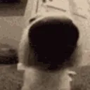 sniffemote