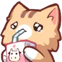 catcry Discord Emoji