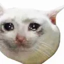 Crying Cat crying_cat Discord Emoji