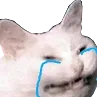Catcry1 Discord Emoji
