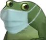 maskfrog