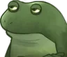 bruhfrog