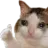 KittyOk Discord Emoji