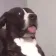 9_Esperai_oque_AH