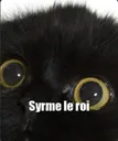 syrme_le_roi