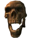 SkyrimSkull SkyrimSkull
