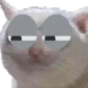 ReverseSuscat